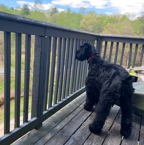 Meet your Posher, Carla